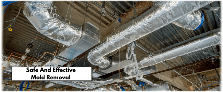 Air Duct Mold Removal in Mesa AZ