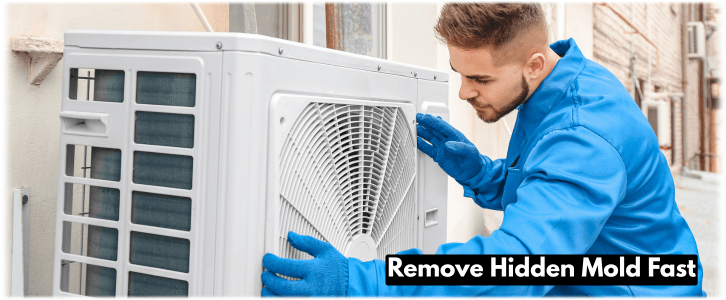 HVAC Mold Removal Mesa AZ